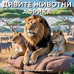 ������ �������: ������ - 