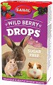    Sanal Wild Berry Drops Sugar Free - 