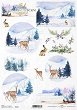   ITD Collection - 