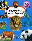 ������������ �� ��������� - 