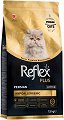 ������������� ���� ����� �� ��������� ����� Reflex Plus Persian Kitten - 