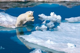   -    "National Geographic" - 