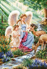   -   (Dona Gelsinder) - 