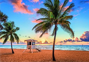  ,  -   "Travel" - 