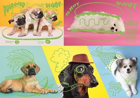   -   1000    "Neon color line" - 