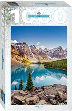  ,  -   1000    Travel  - 