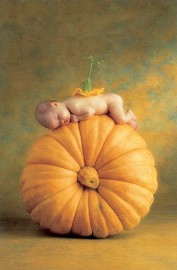     -  -   (Anne Geddes) - 