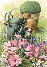  -   (Marjolein Bastin) - 