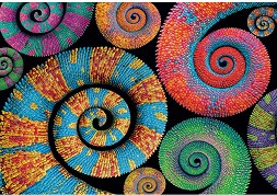 ������ ����� � ������� ������ - ����� �� 500 ����� - �����