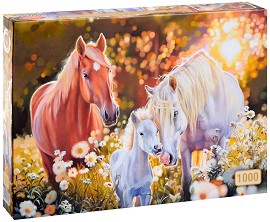 ������� - ����� �� 1000 ����� �� ��������� ������� - �����