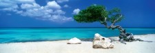   - :  - -  "  " (Alexander von Humboldt) - 