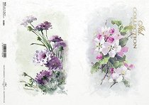 ��������� ������ ITD Collection - �������� �����