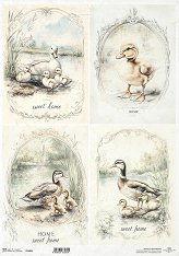 ��������� ������ ITD Collection - ������