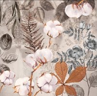    Ambiente - 