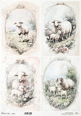 ��������� ������ ITD Collection - ������