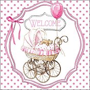    Ambiente -  