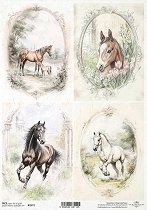 ��������� ������ ITD Collection - ����