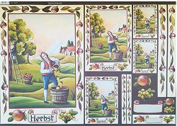 ��������� ������ Maimeri - ����