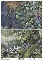 ��������� ������ ITD Collection - ������