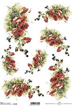 ��������� ������ ITD Collection - ������