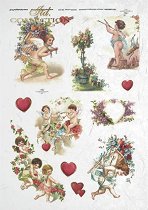 ��������� ������ ITD Collection - ��������
