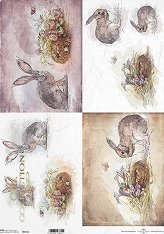 ��������� ������ ITD Collection - �����