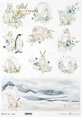 ��������� ������ ITD Collection - ���������� �������