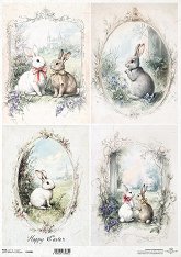 ��������� ������ ITD Collection - �������