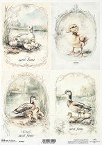 ��������� ������ ITD Collection - ������