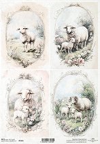 ��������� ������ ITD Collection - ������