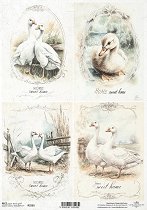 ��������� ������ ITD Collection - �����