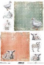 ��������� ������ ITD Collection - ����� � ������