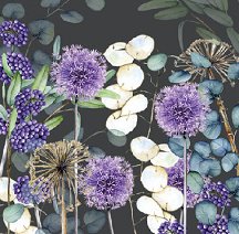    Ambiente -  