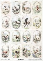 ��������� ������ ITD Collection - �������