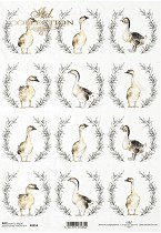 ��������� ������ ITD Collection - ������