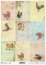 ��������� ������ ITD Collection - ������� � �����