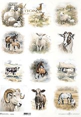 ��������� ������ ITD Collection - �������