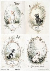 ��������� ������ ITD Collection - ������