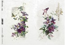 ��������� ������ ITD Collection - ��������