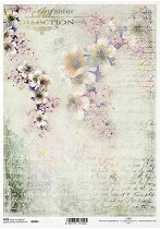 ��������� ������ ITD Collection - ����� � �����