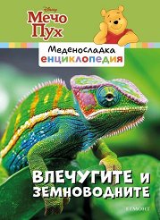 ������������ ������������ - ����� 6: ��������� � ������������ - �����