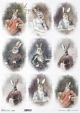 ��������� ������ ITD Collection - ����� � �������